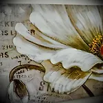 House Bed & Breakfast Terlizzi