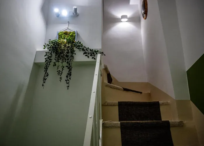 House Nocleg ze śniadaniem 3*